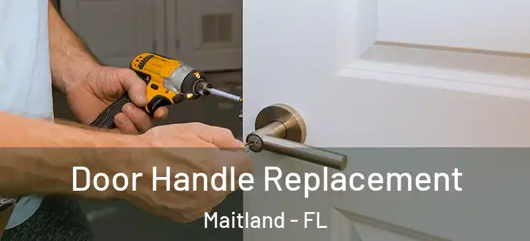  Door Handle Replacement Maitland - FL