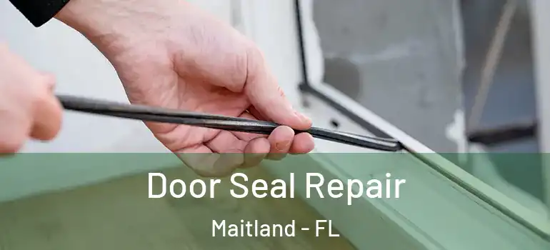  Door Seal Repair Maitland - FL