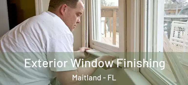  Exterior Window Finishing Maitland - FL
