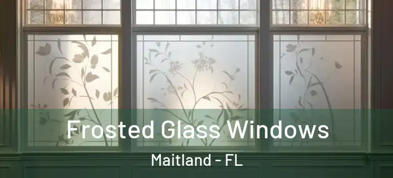  Frosted Glass Windows Maitland - FL