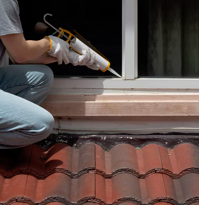 Roof Window Services in Maitland, Florida