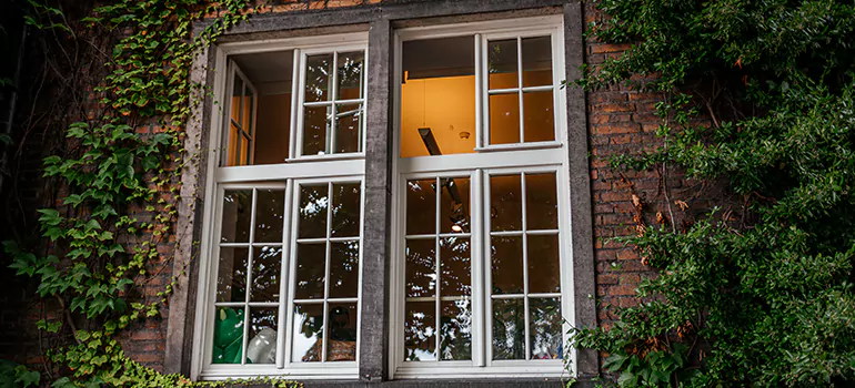 Energy Efficient Wood Windows in Maitland, FL