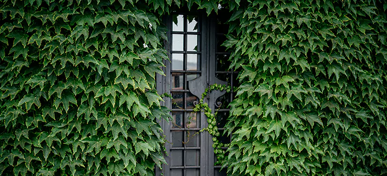 Garden Gate Repair in Maitland, FL