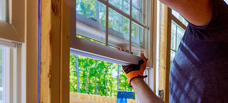 Decorative Window Film Services in Maitland, FL