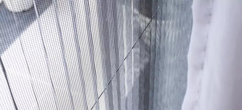 Fixing Screen Window Mesh in Maitland, FL