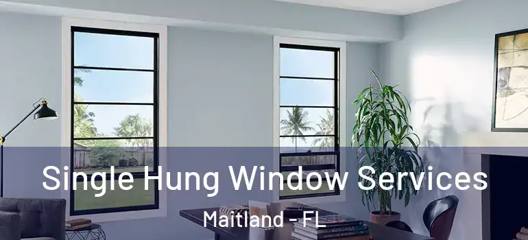  Single Hung Window Services Maitland - FL