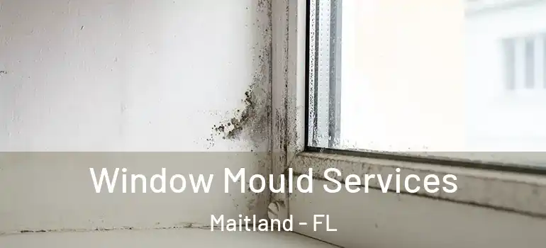  Window Mould Services Maitland - FL