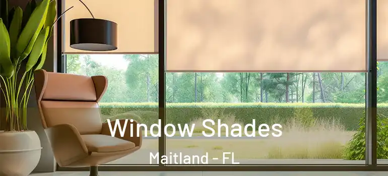 Window Shades Maitland - FL